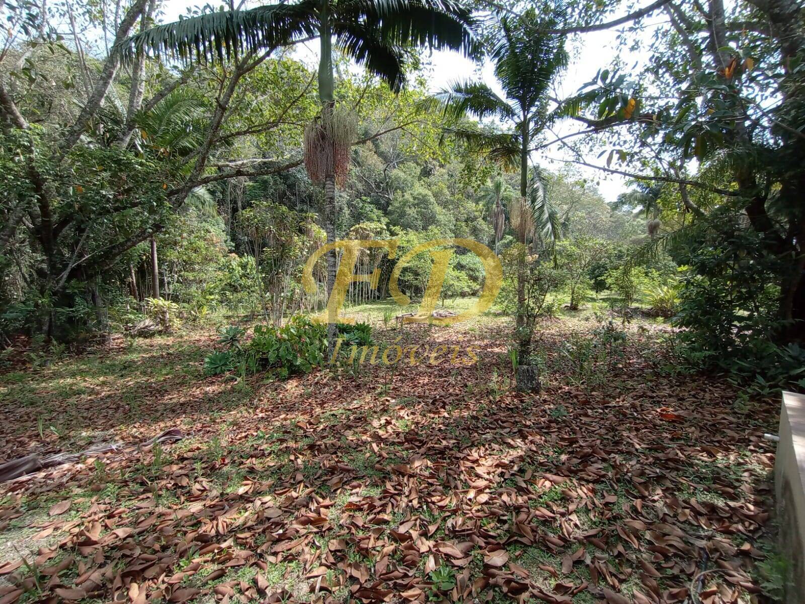 Fazenda à venda com 2 quartos, 1000m² - Foto 11