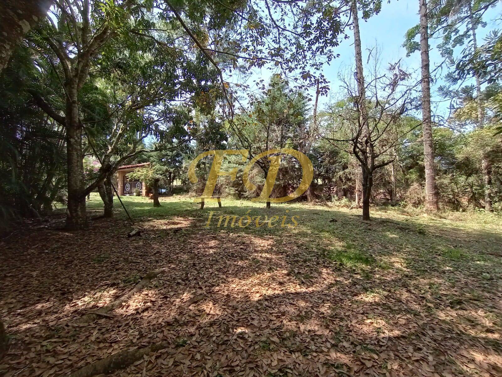 Fazenda à venda com 2 quartos, 1000m² - Foto 12