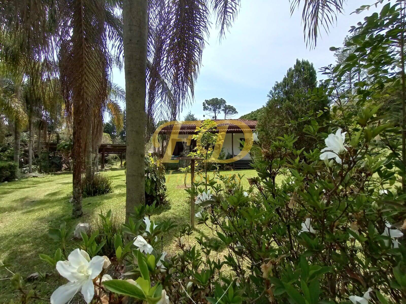 Fazenda à venda com 2 quartos, 1000m² - Foto 15