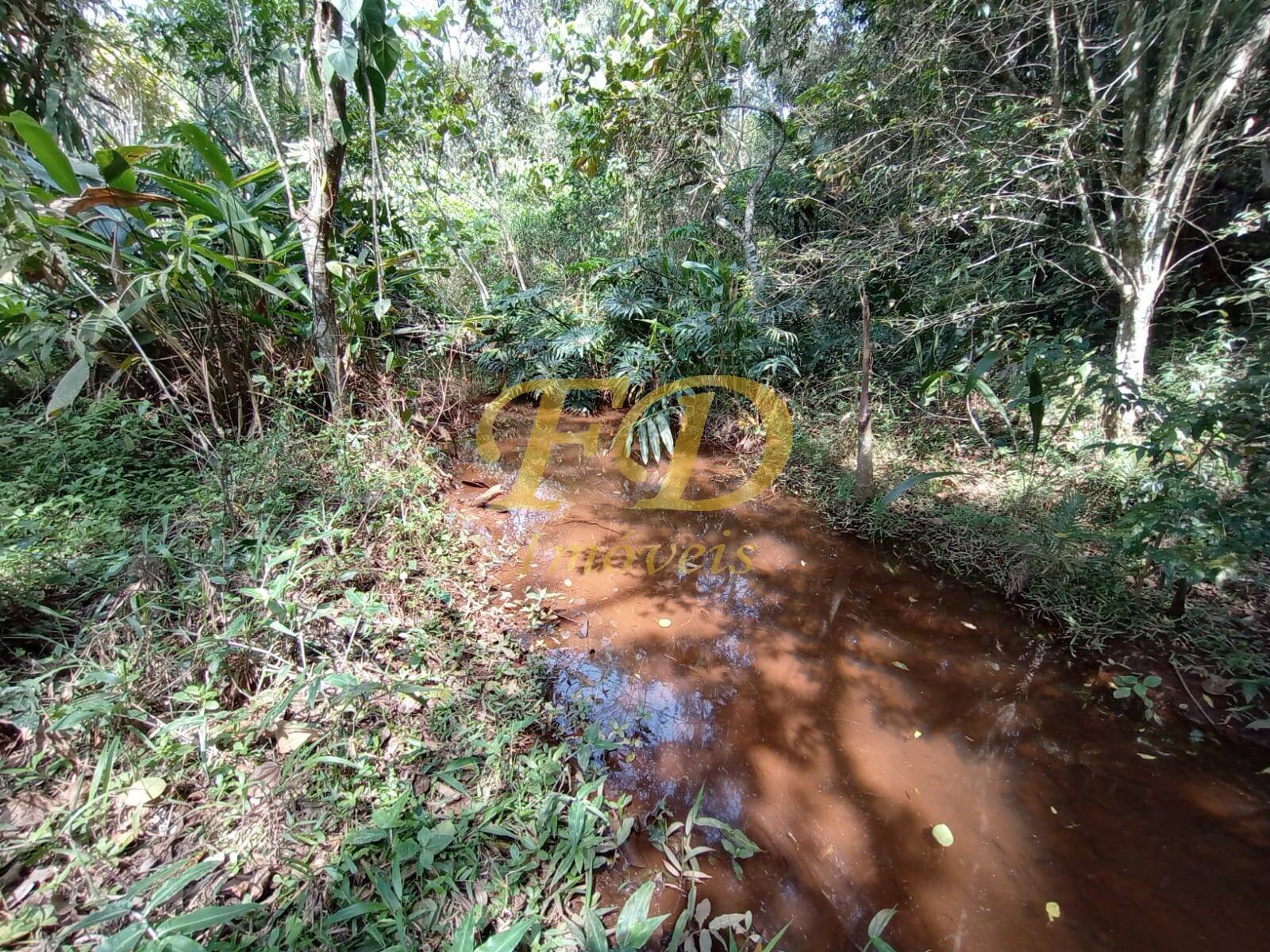 Fazenda à venda com 2 quartos, 1000m² - Foto 21