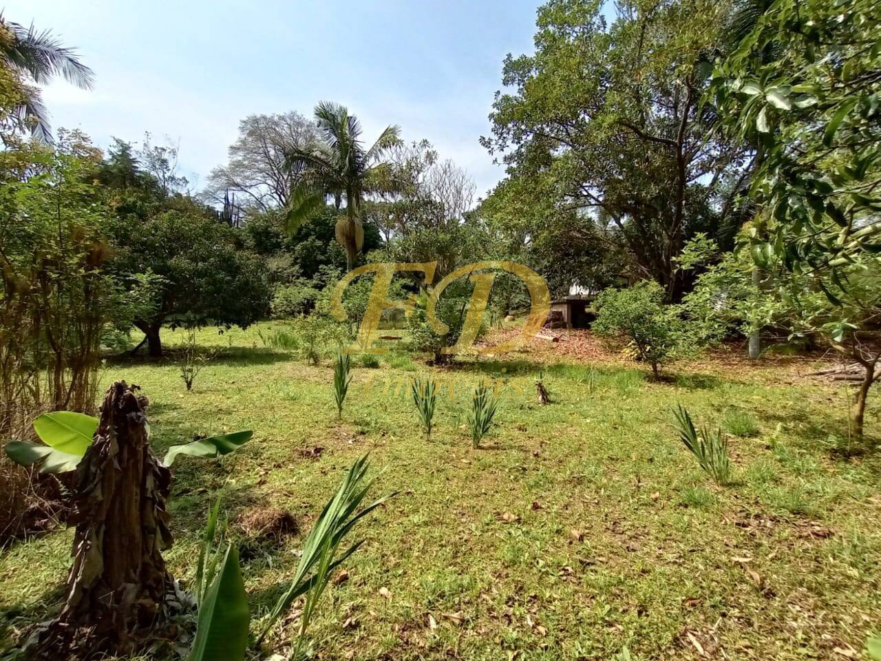 Fazenda à venda com 2 quartos, 1000m² - Foto 23