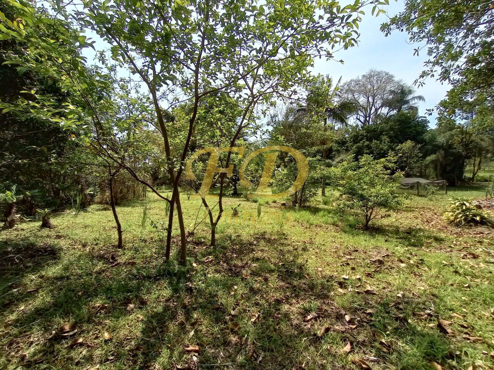 Fazenda à venda com 2 quartos, 1000m² - Foto 24