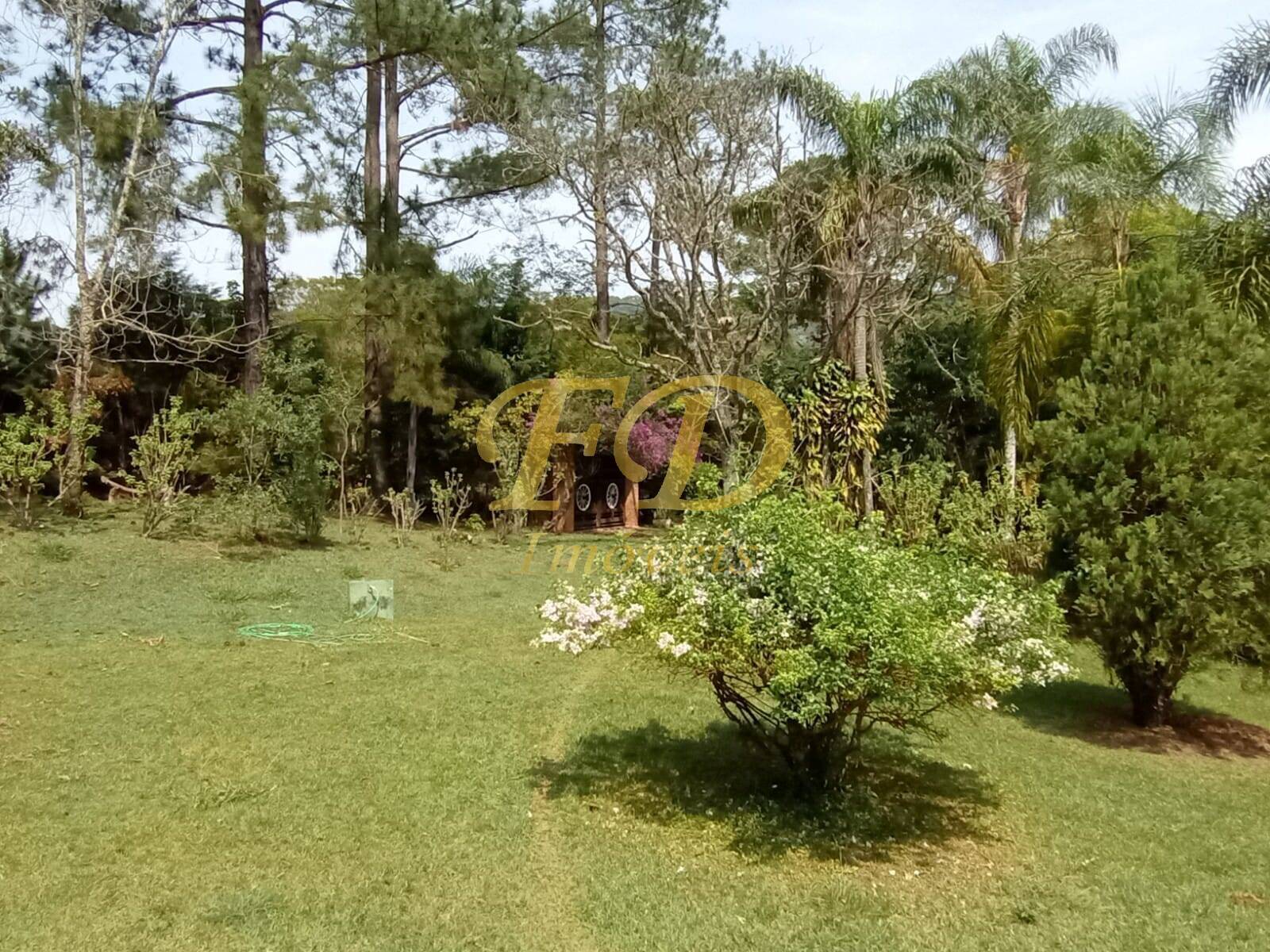 Fazenda à venda com 2 quartos, 1000m² - Foto 45