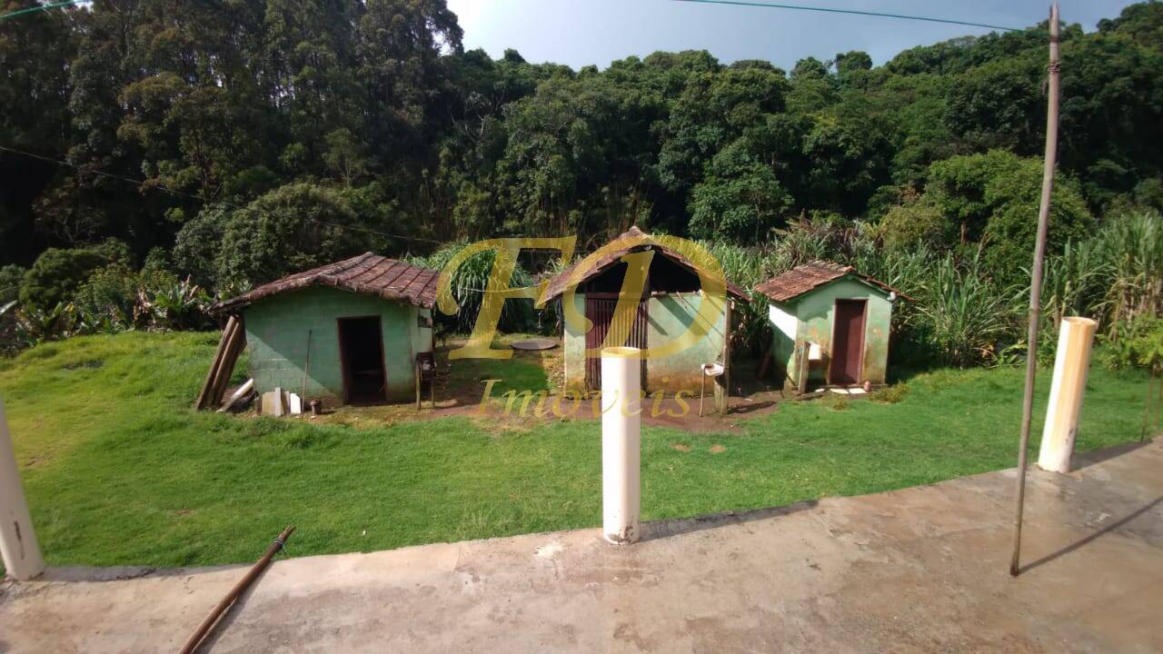 Fazenda à venda com 3 quartos, 84000m² - Foto 2