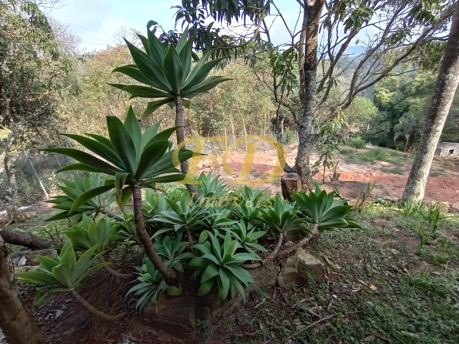 Fazenda à venda com 5 quartos, 400m² - Foto 33