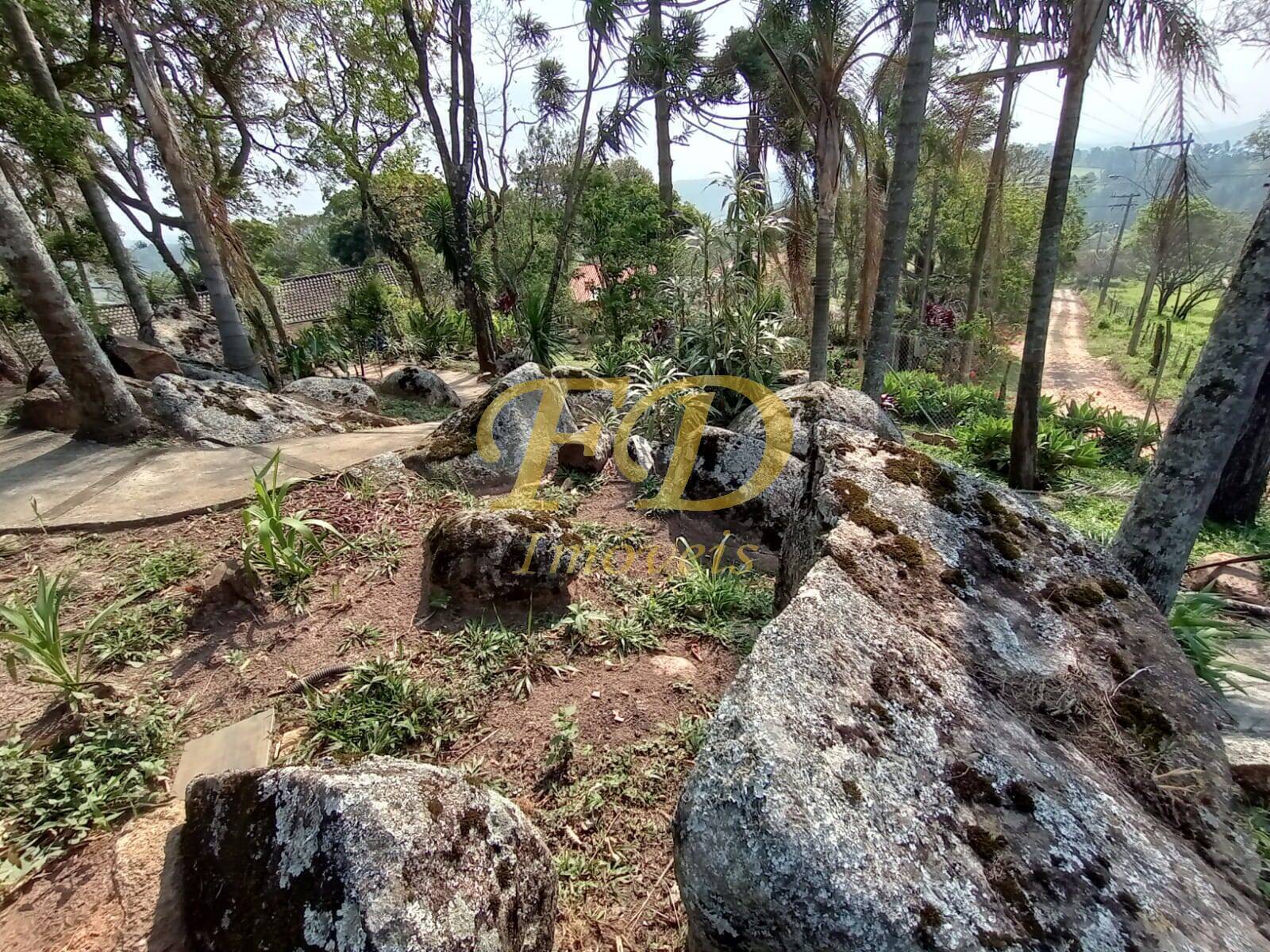 Fazenda à venda com 5 quartos, 400m² - Foto 36