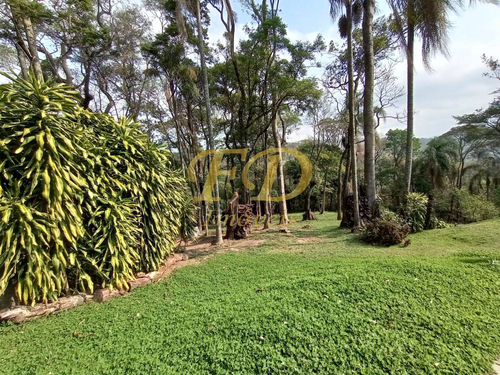 Fazenda à venda com 5 quartos, 400m² - Foto 54