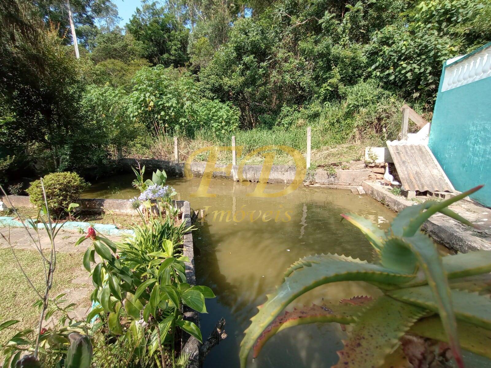 Fazenda à venda com 3 quartos, 350m² - Foto 9