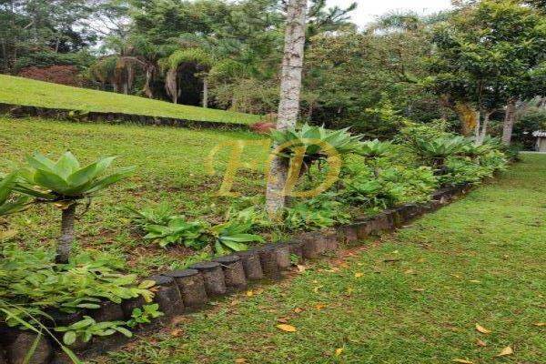 Fazenda à venda com 7 quartos, 1000m² - Foto 34