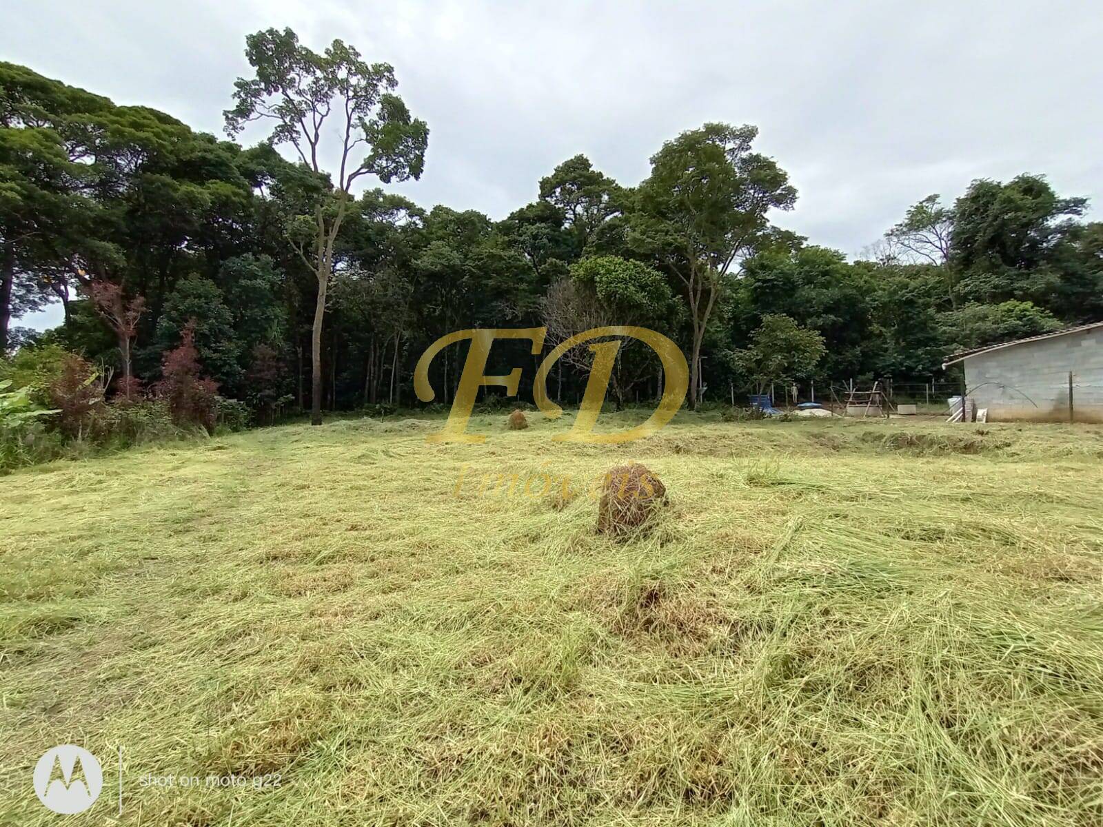 Terreno à venda, 2000m² - Foto 8