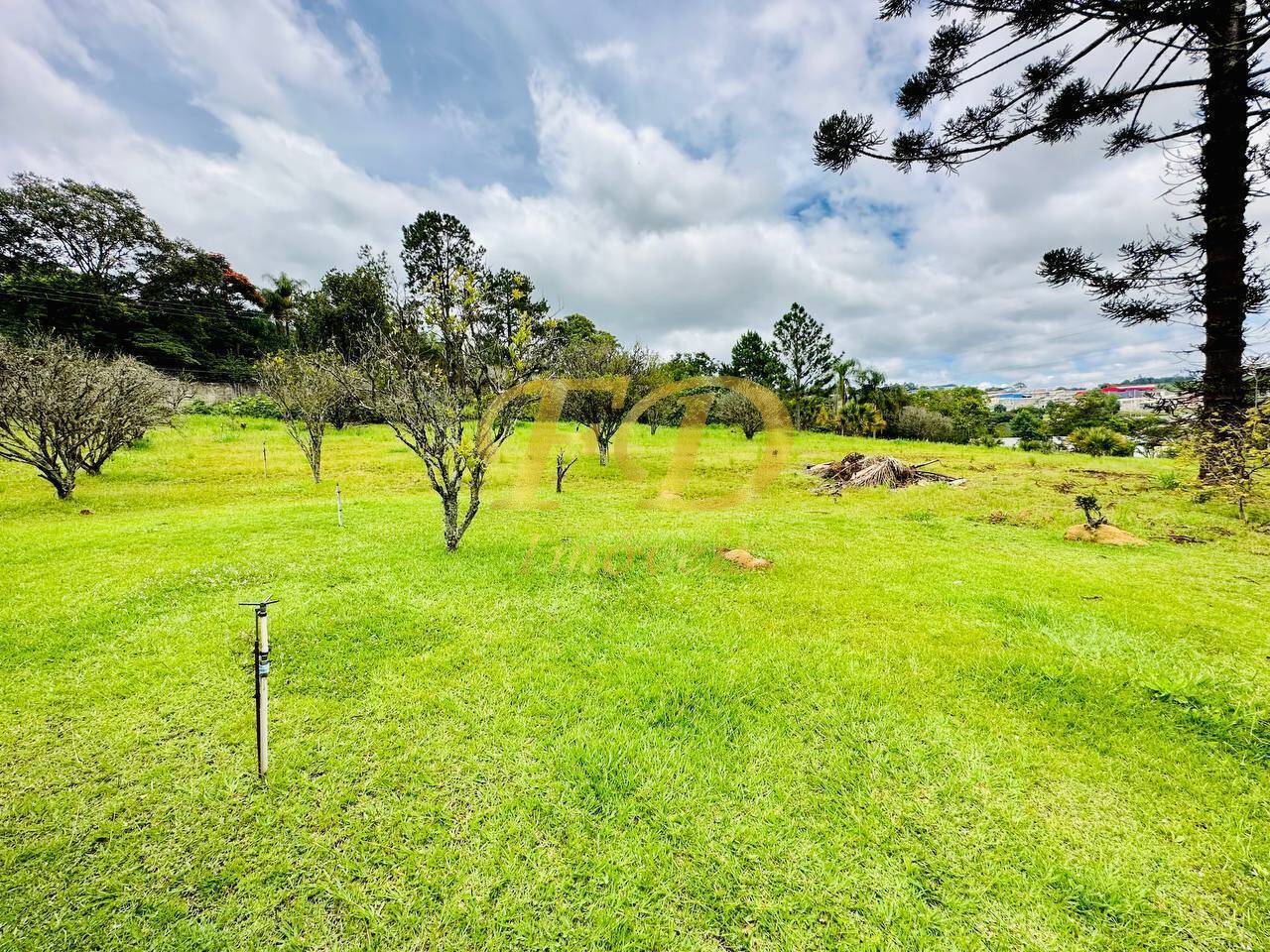 Fazenda à venda com 5 quartos, 1109m² - Foto 60