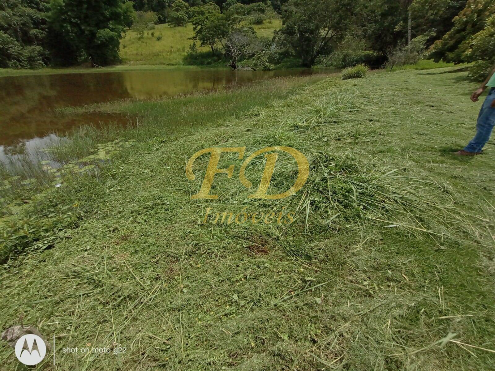 Fazenda à venda com 3 quartos, 300m² - Foto 18