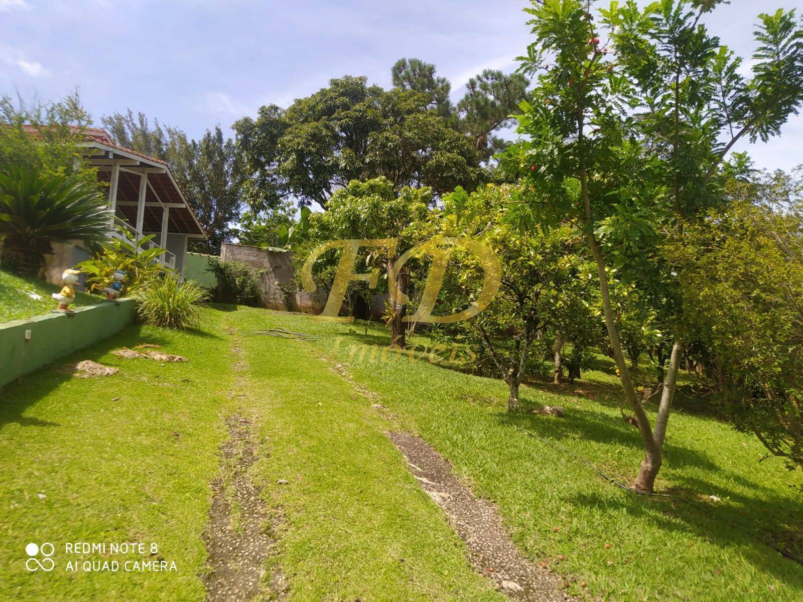 Fazenda à venda com 2 quartos - Foto 37