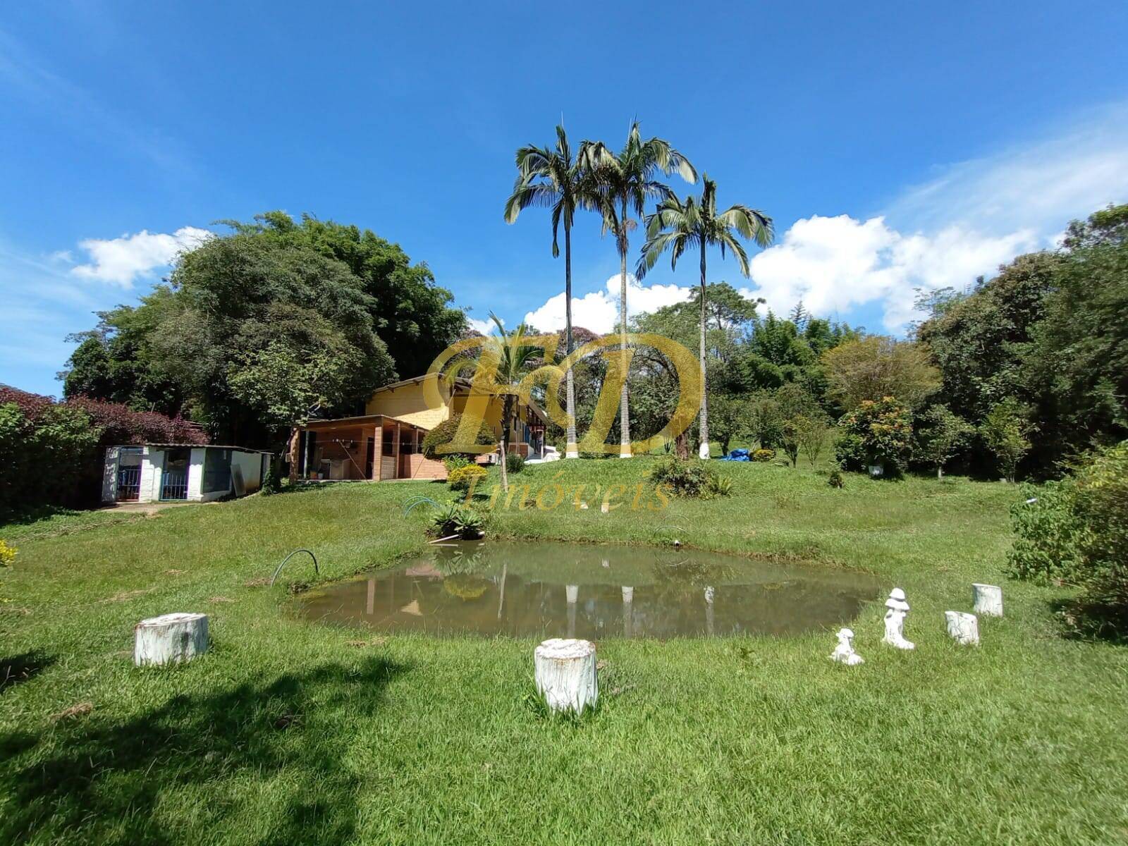 Fazenda à venda com 3 quartos, 160m² - Foto 50