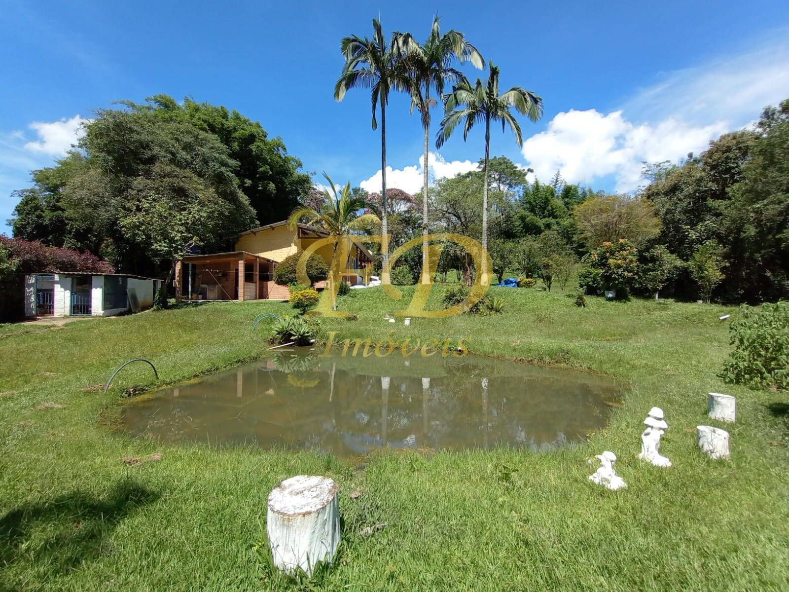 Fazenda à venda com 3 quartos, 160m² - Foto 5