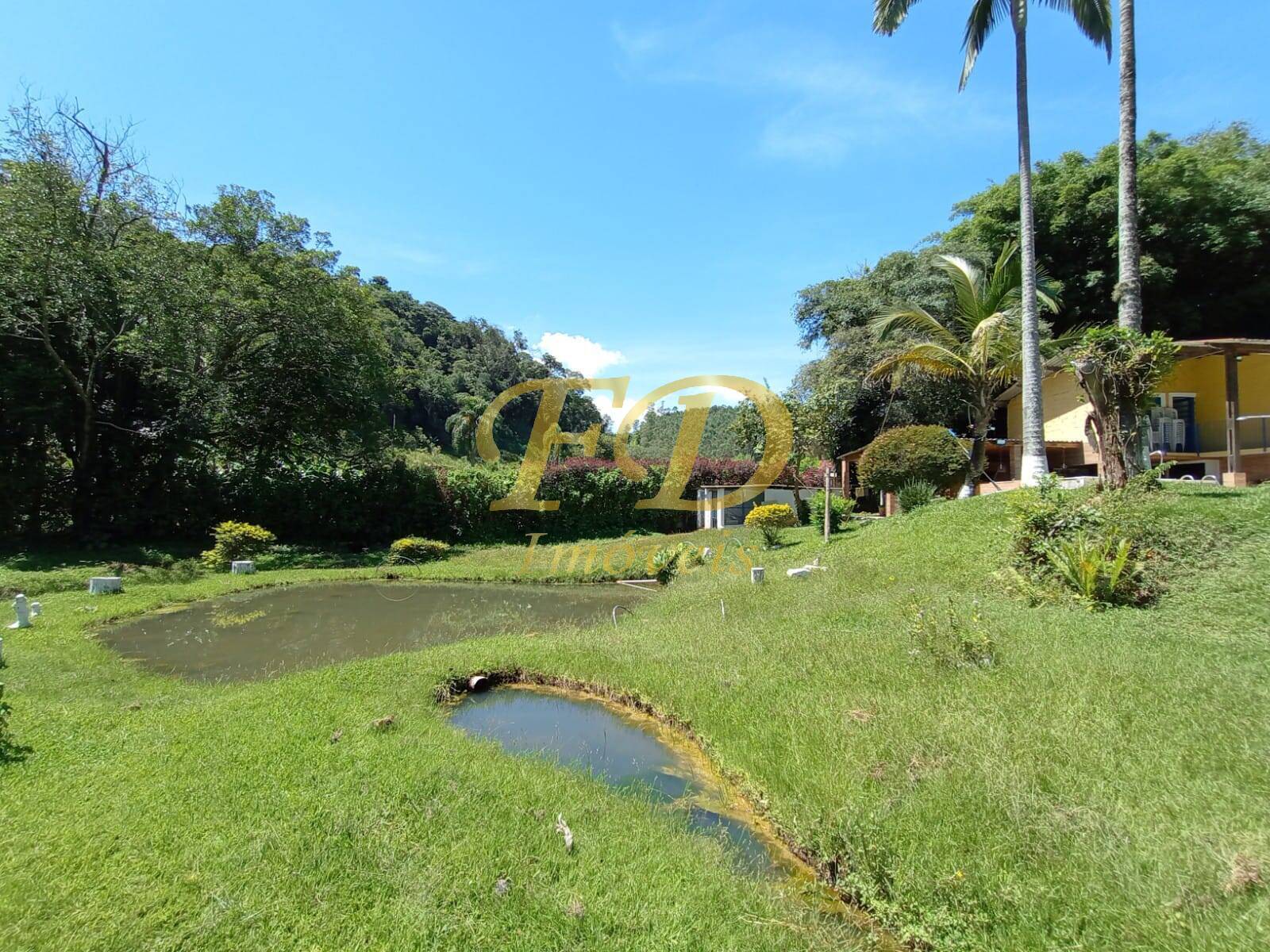 Fazenda à venda com 3 quartos, 160m² - Foto 2