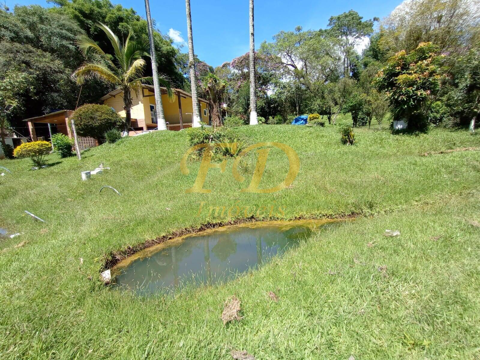 Fazenda à venda com 3 quartos, 160m² - Foto 4