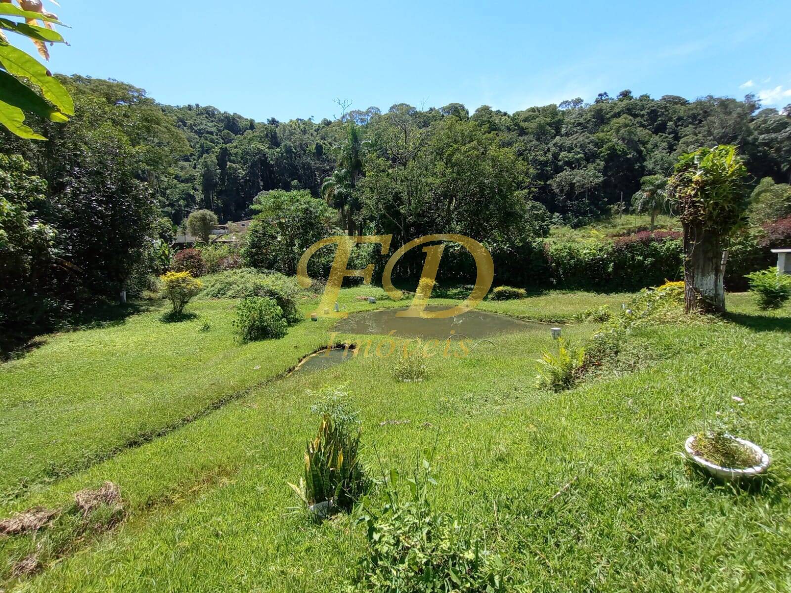 Fazenda à venda com 3 quartos, 160m² - Foto 53