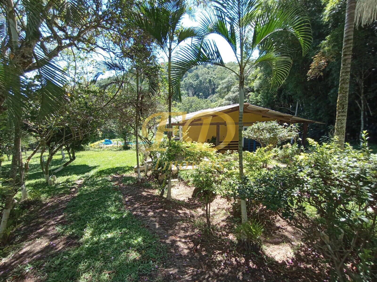 Fazenda à venda com 3 quartos, 160m² - Foto 63