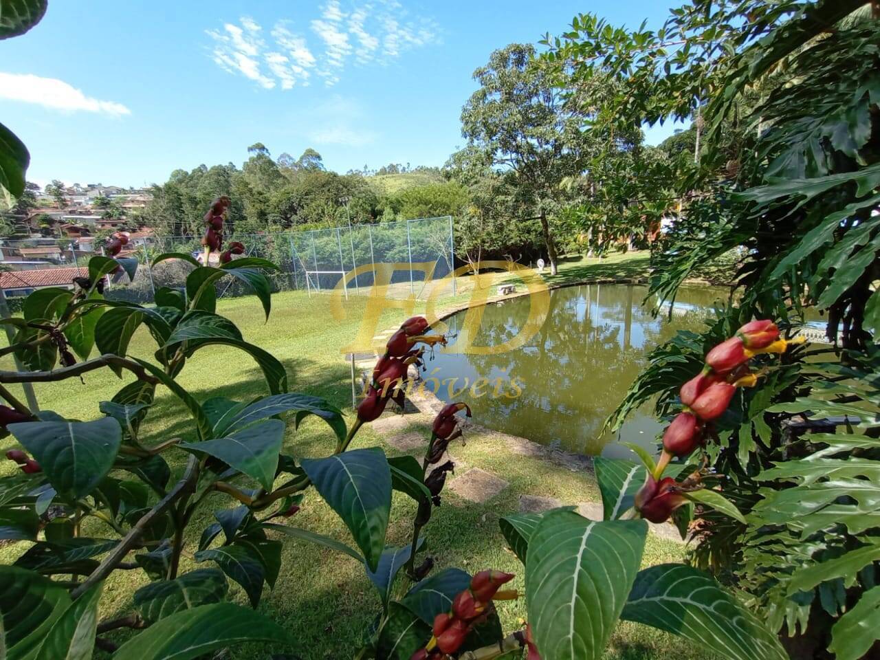 Fazenda à venda com 5 quartos, 800m² - Foto 32