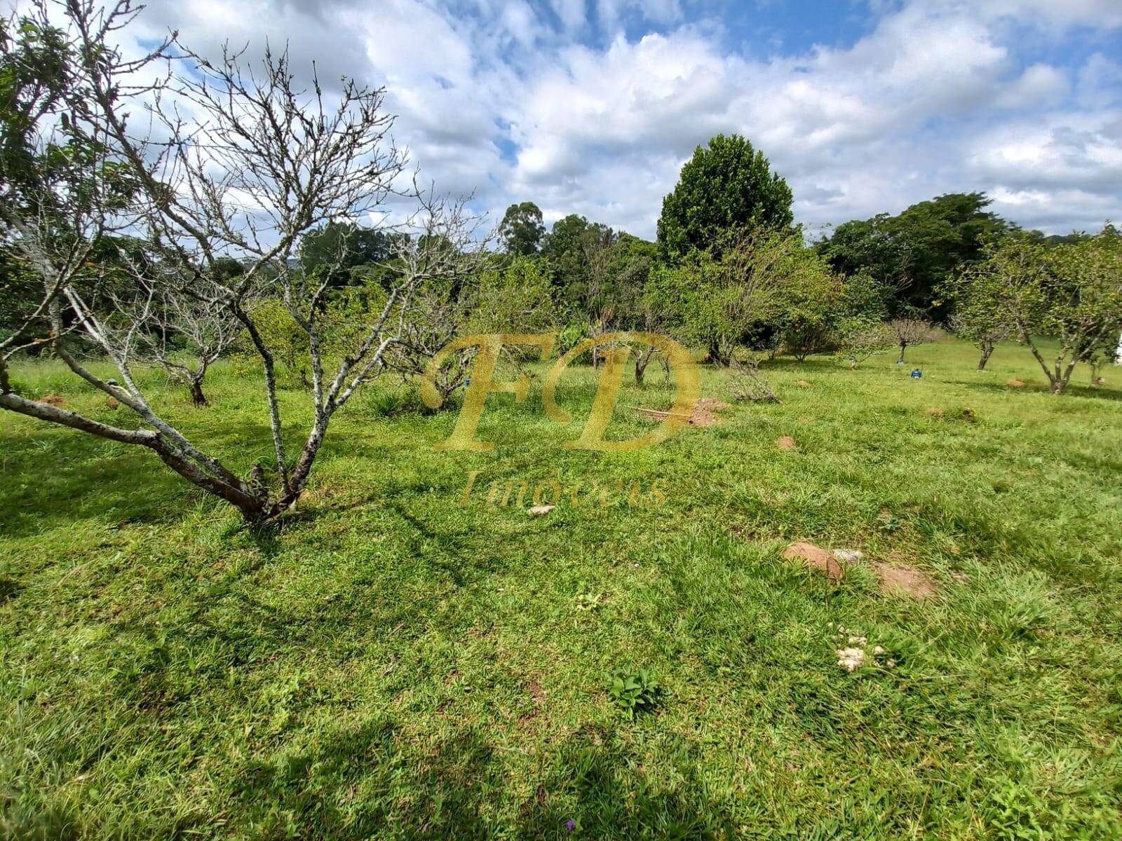 Fazenda à venda com 2 quartos, 21000m² - Foto 15