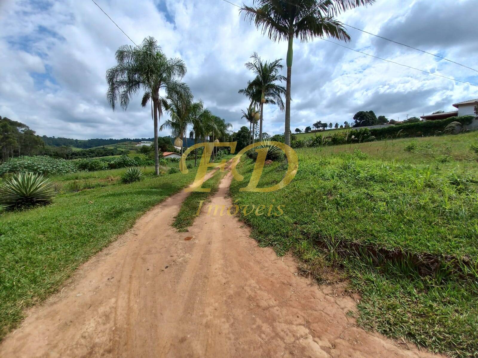 Fazenda à venda com 2 quartos, 21000m² - Foto 16