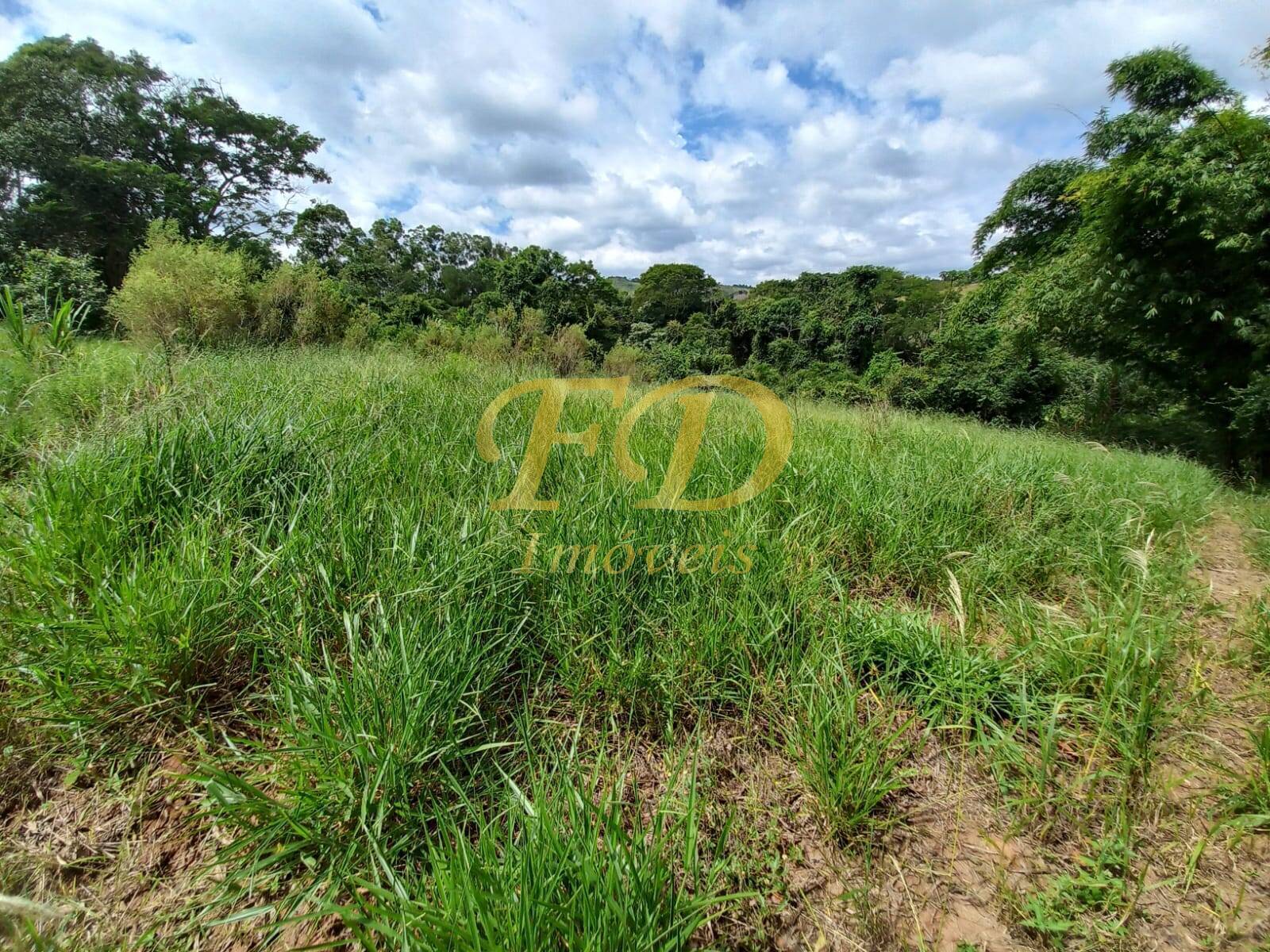 Fazenda à venda com 2 quartos, 21000m² - Foto 28