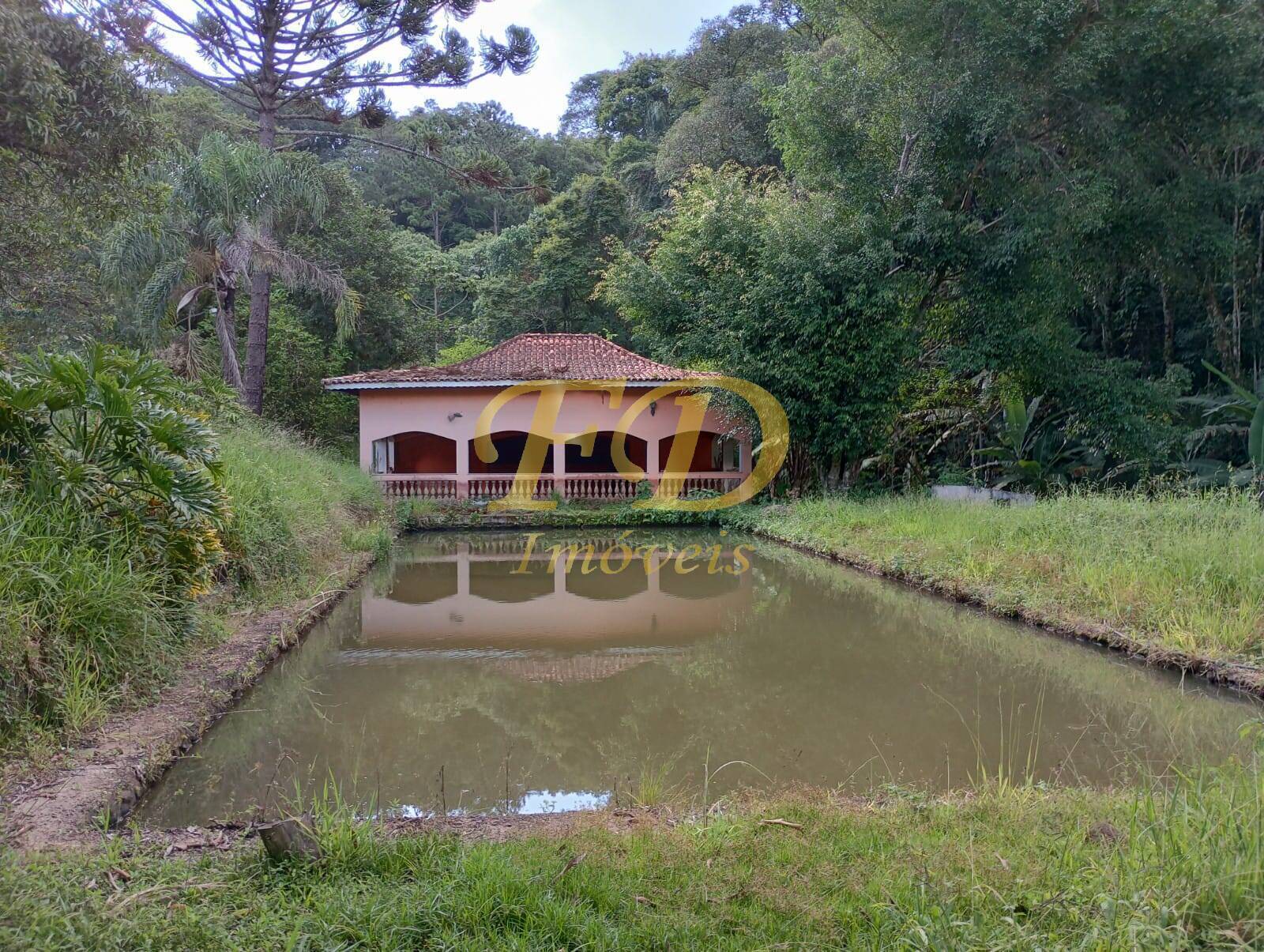 Fazenda à venda com 5 quartos, 1500m² - Foto 1