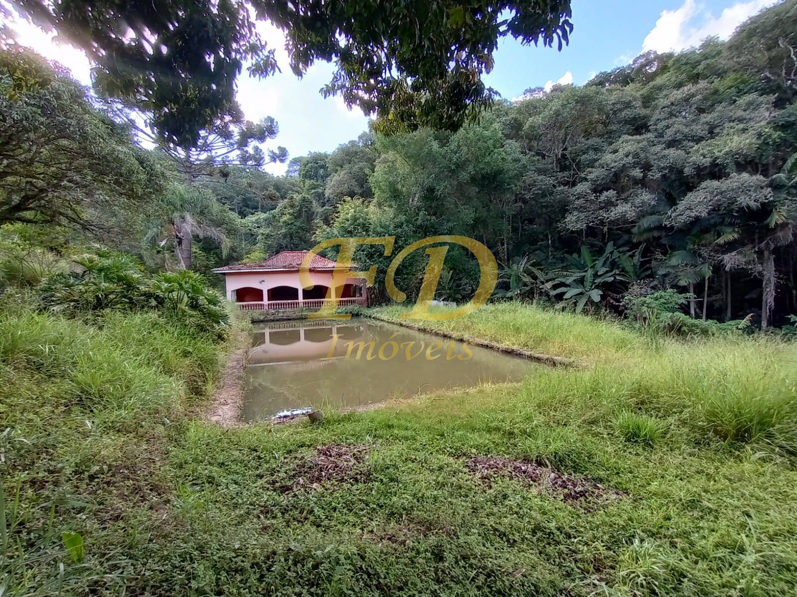 Fazenda à venda com 5 quartos, 1500m² - Foto 43