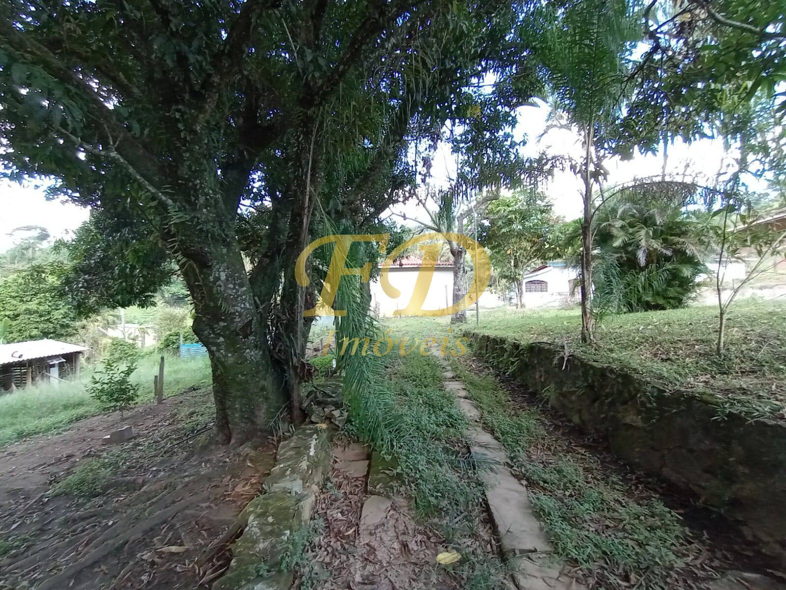 Fazenda à venda com 5 quartos, 1500m² - Foto 45