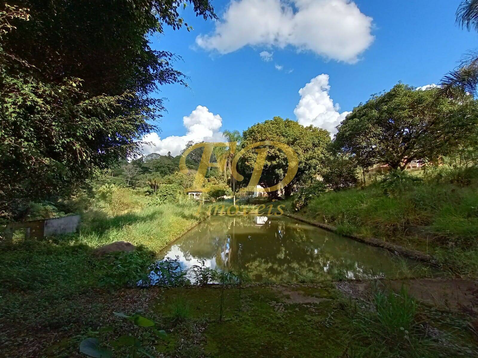 Fazenda à venda com 5 quartos, 1500m² - Foto 47