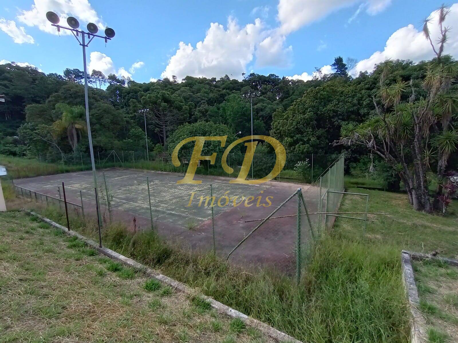 Fazenda à venda com 5 quartos, 1500m² - Foto 54