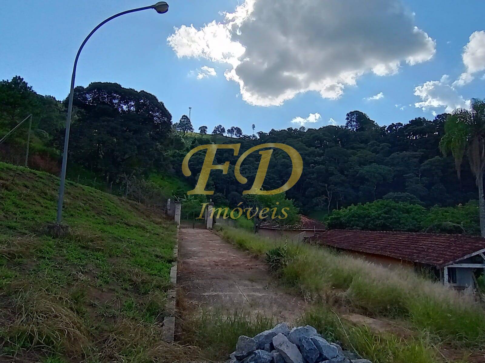 Fazenda à venda com 5 quartos, 1500m² - Foto 58