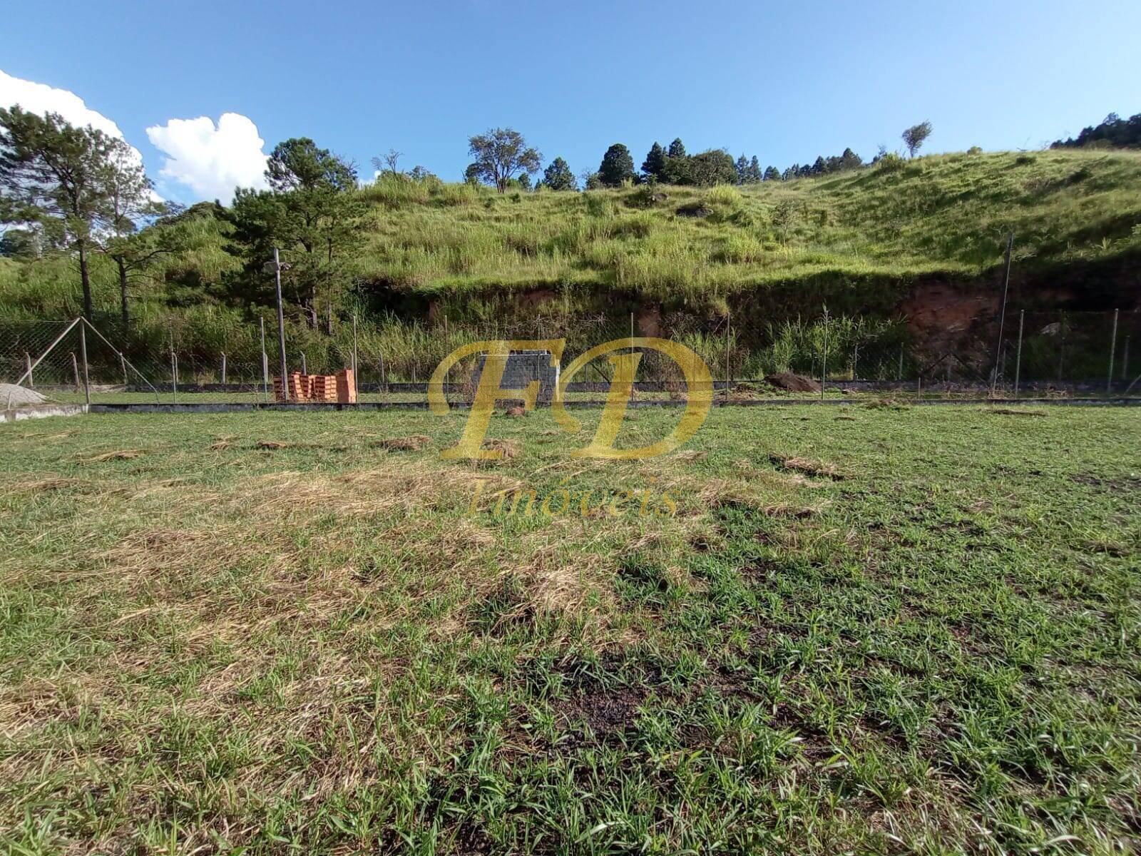 Fazenda à venda com 5 quartos, 1500m² - Foto 63