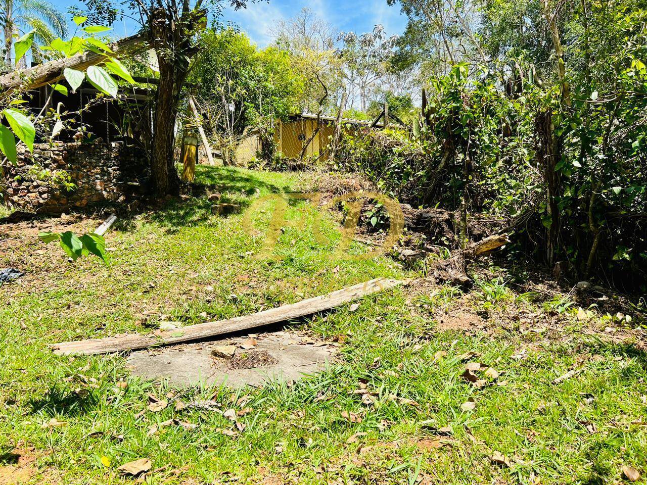 Fazenda à venda com 3 quartos, 160m² - Foto 6