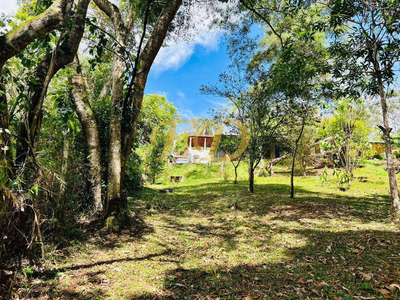 Fazenda à venda com 3 quartos, 160m² - Foto 7