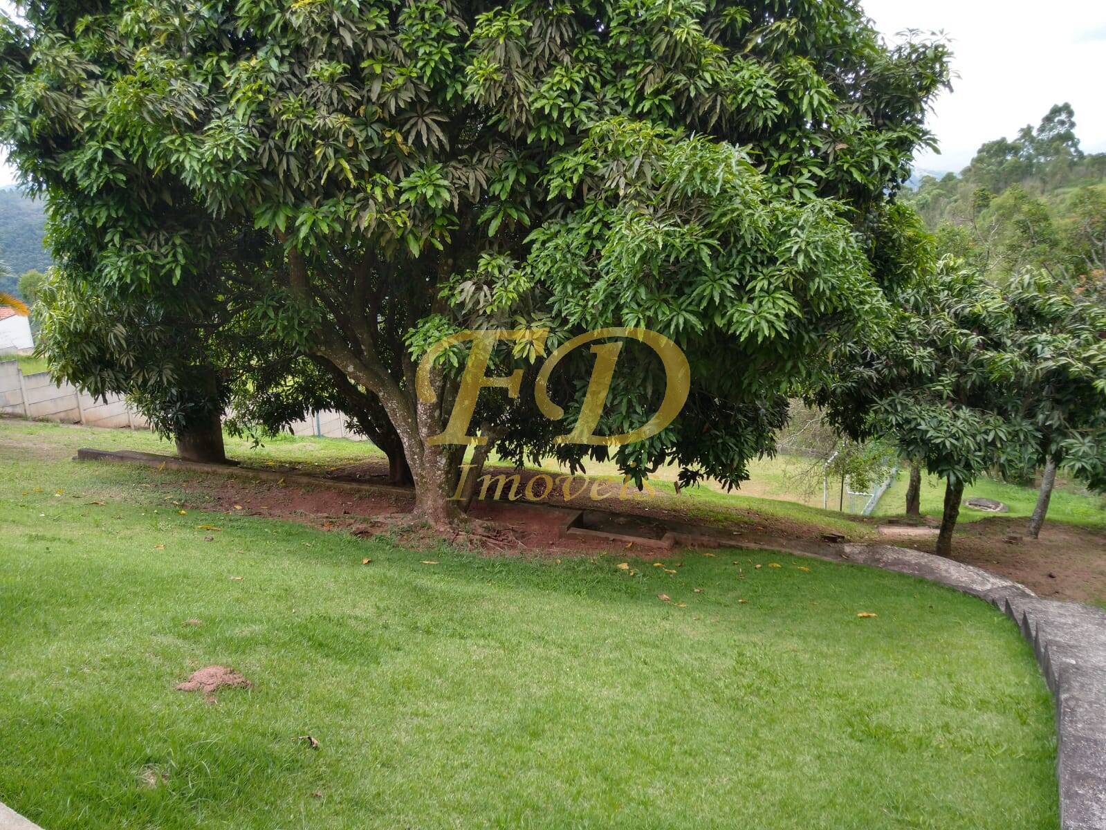 Fazenda à venda com 2 quartos, 400m² - Foto 26