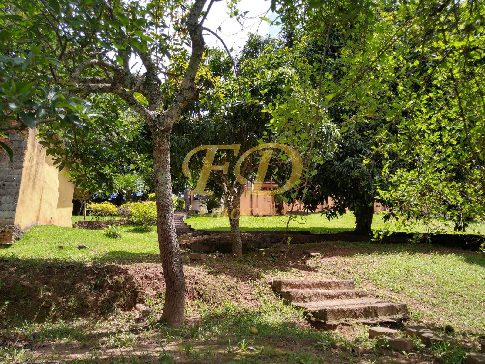 Fazenda à venda com 2 quartos, 400m² - Foto 31