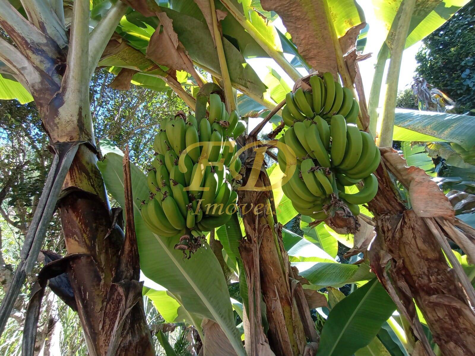 Terreno à venda - Foto 19