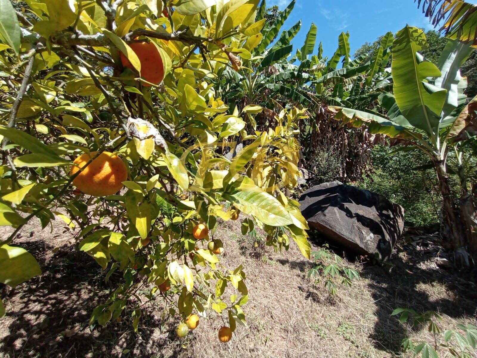 Terreno à venda - Foto 20