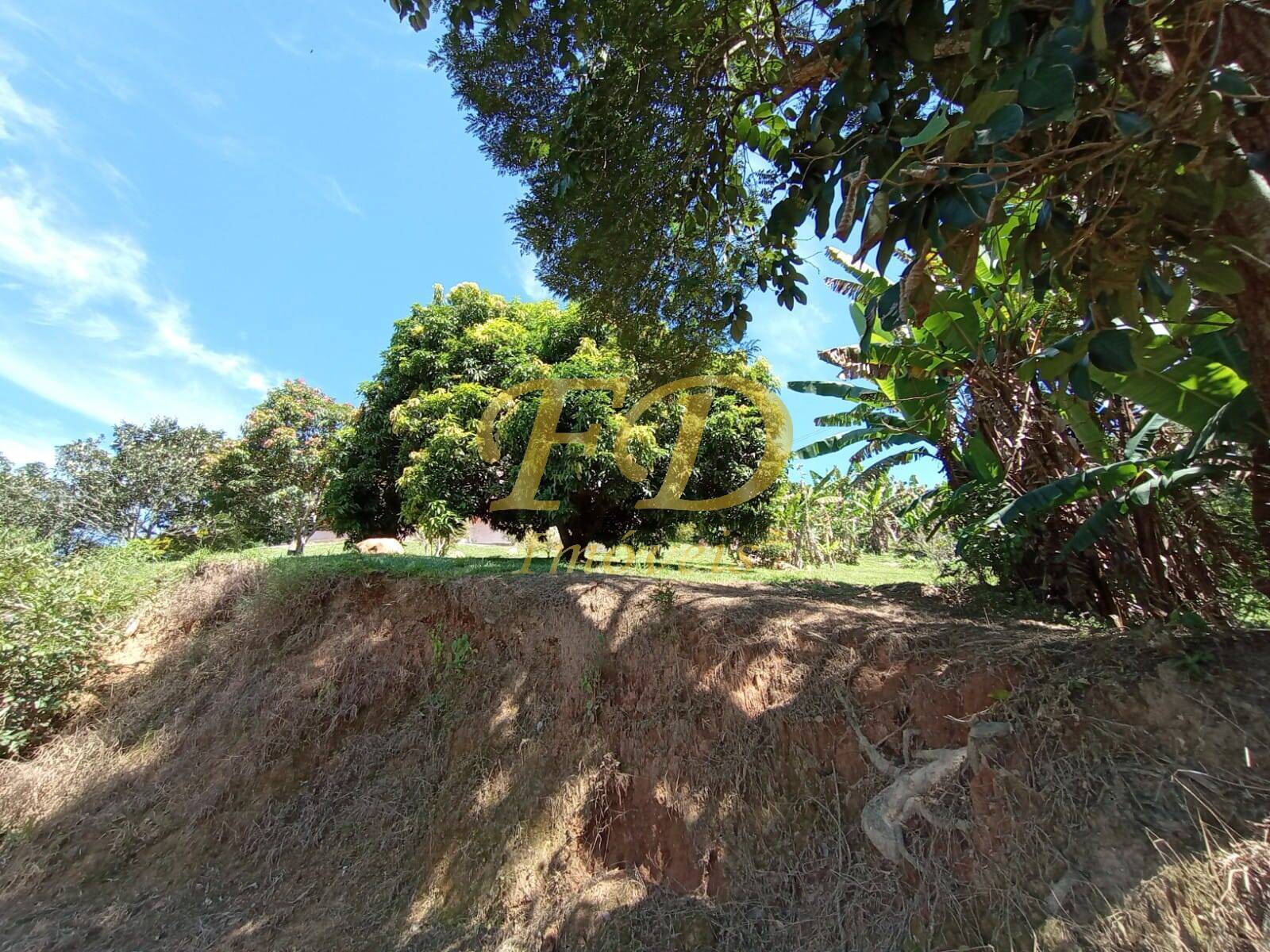 Terreno à venda - Foto 52