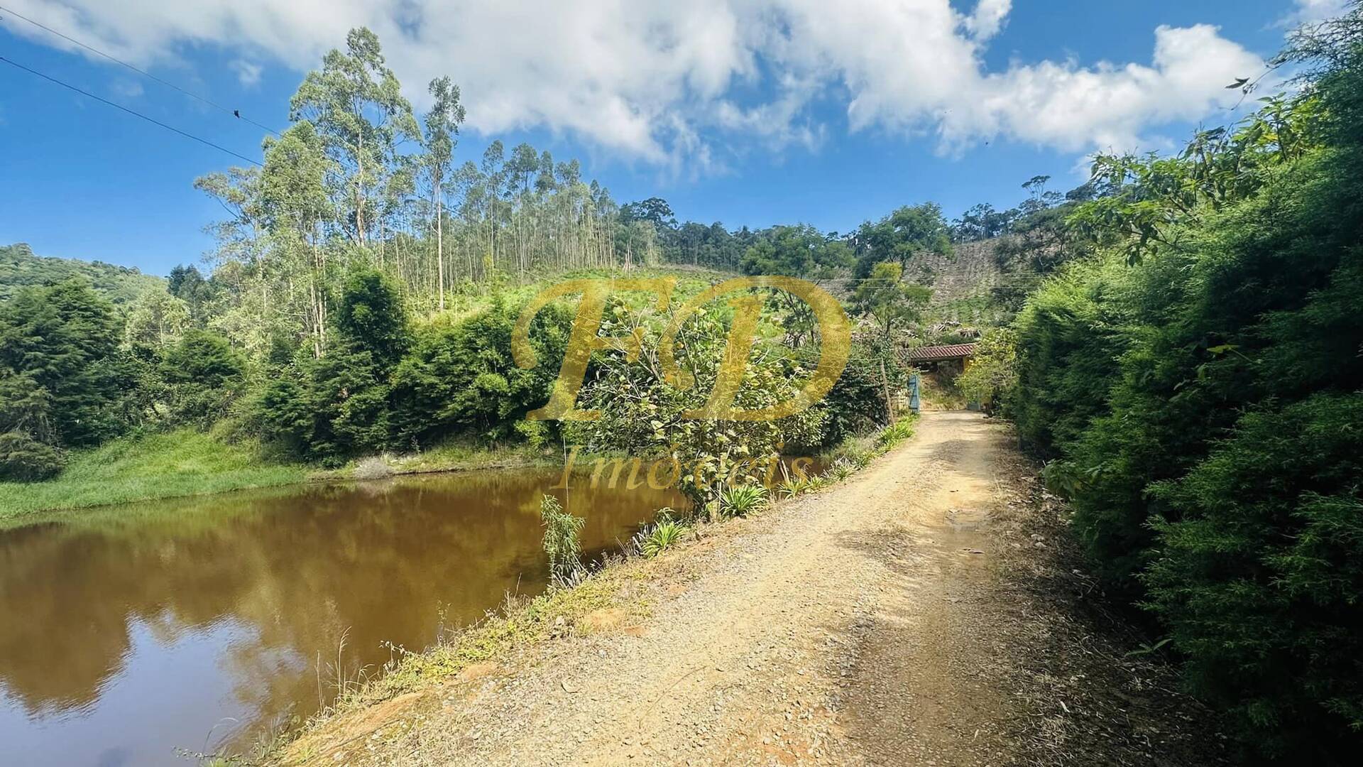 Fazenda à venda com 7 quartos, 120000m² - Foto 31