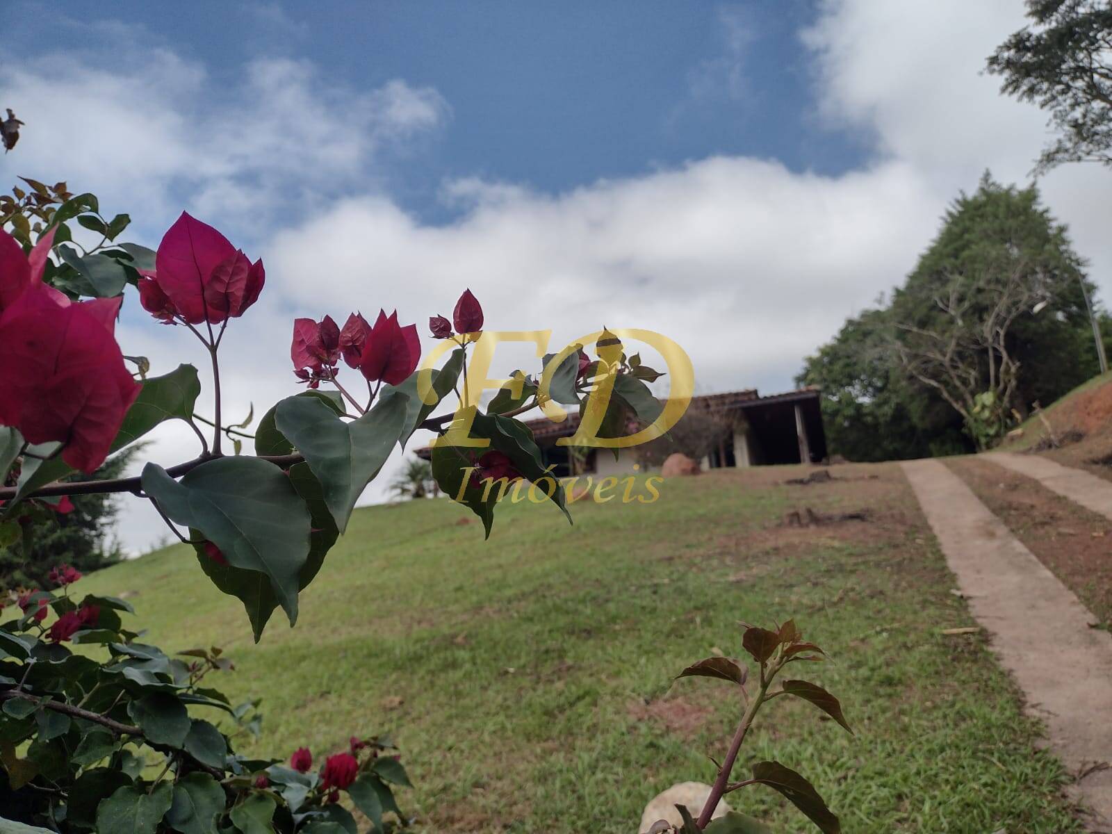 Fazenda à venda com 2 quartos, 170m² - Foto 5