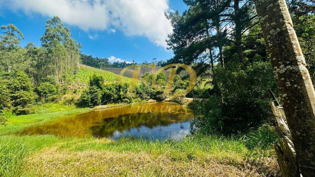 Fazenda à venda com 5 quartos, 250m² - Foto 17