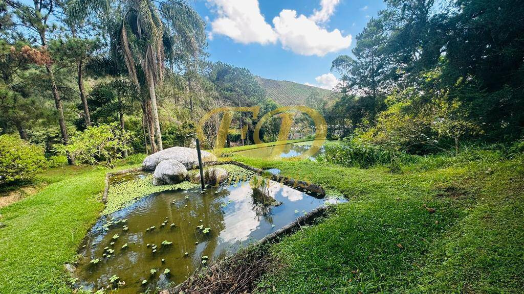 Fazenda à venda com 5 quartos, 250m² - Foto 7