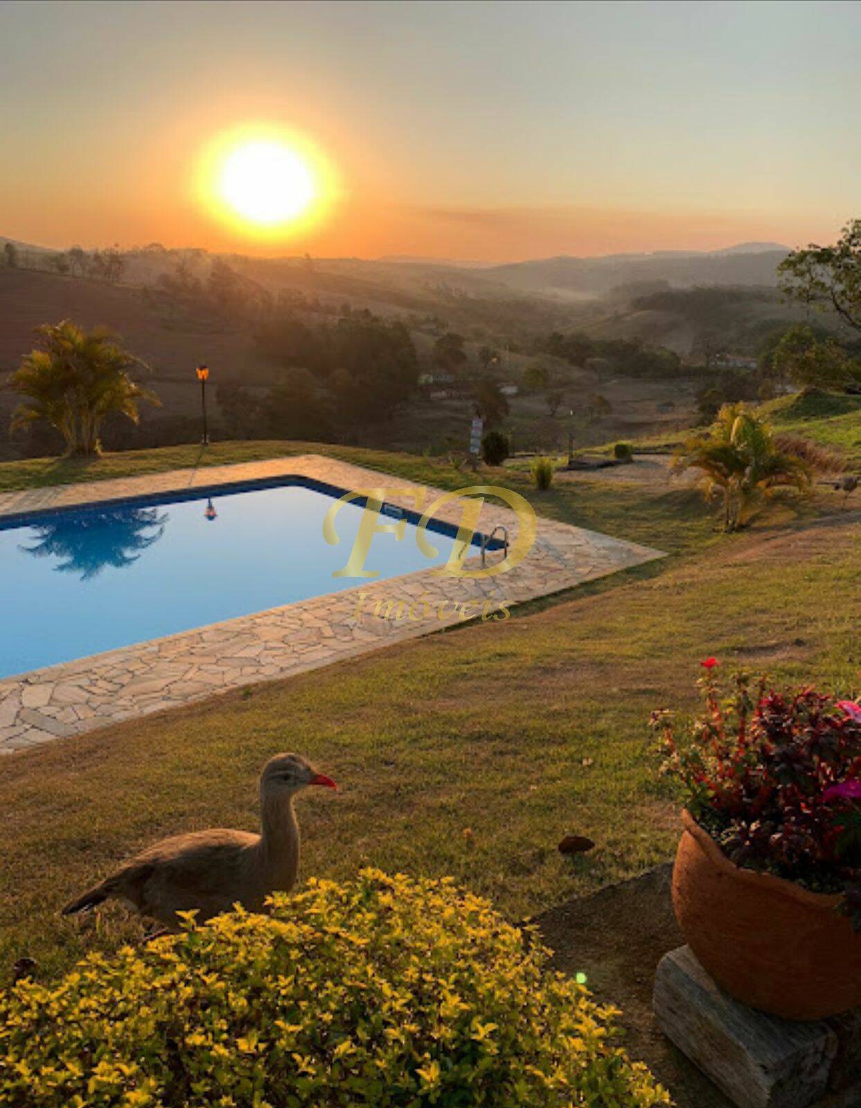 Fazenda à venda com 11 quartos, 20000m² - Foto 5