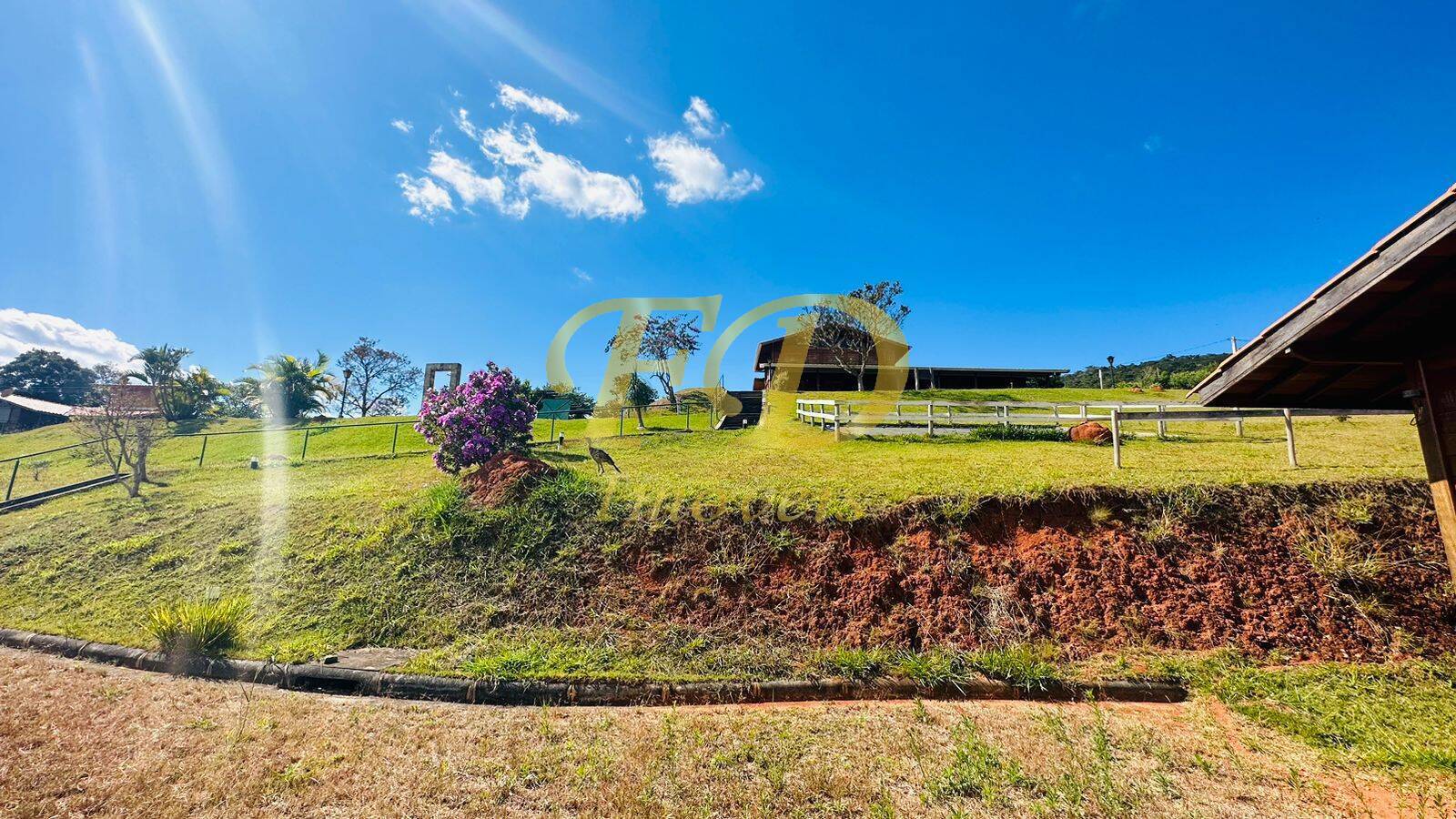 Fazenda à venda com 11 quartos, 20000m² - Foto 19