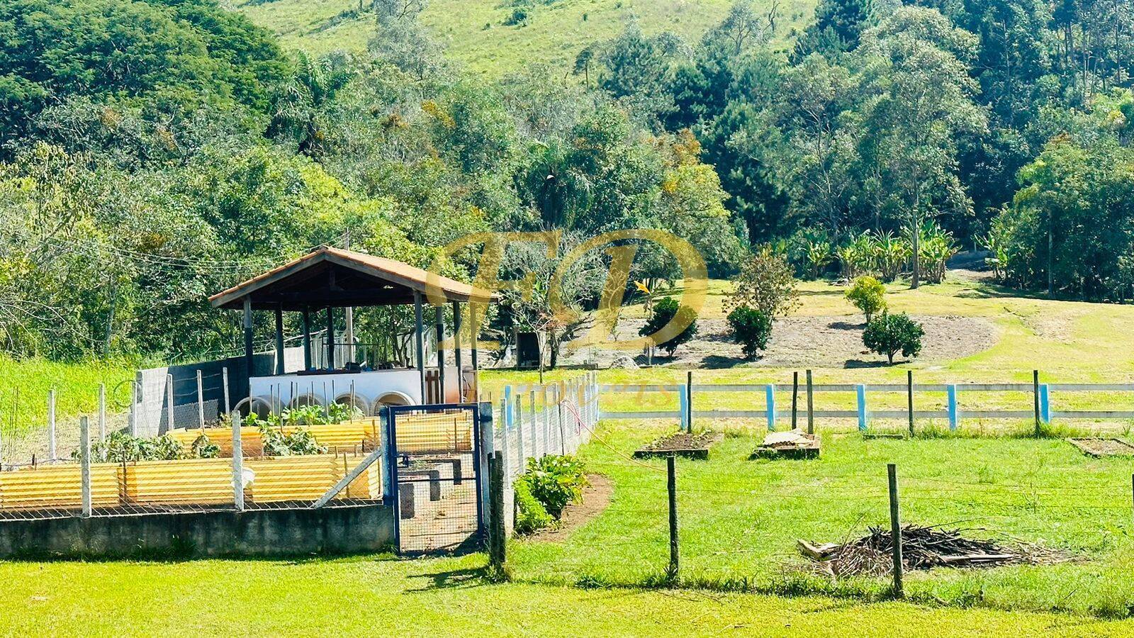 Fazenda à venda com 5 quartos, 10000m² - Foto 13