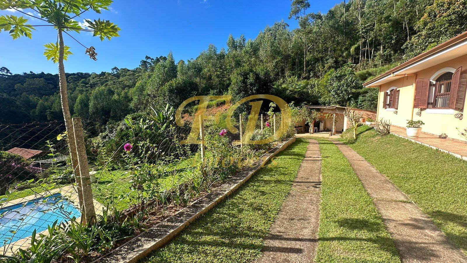 Fazenda à venda com 3 quartos, 600m² - Foto 16