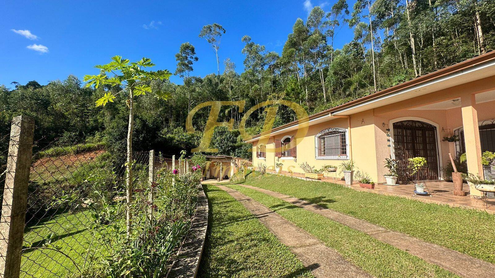 Fazenda à venda com 3 quartos, 600m² - Foto 3